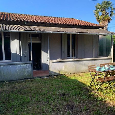 Jolie Medocaine Avec Jardin Apartman Saint-Estèphe Kültér fotó